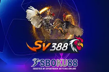 Sboku88rtp